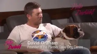 From Dancing With The Stars to Dancing With Dogs