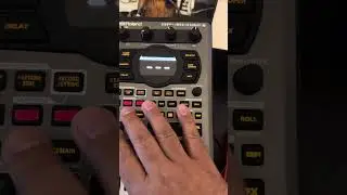 Revisit XLN Life with SP404 Mkii. Great tool for creating unique rhythm loops.