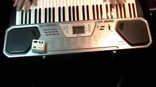 CASIO CTK-491 100 Song Bank Keyboard, Tones 50-99