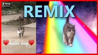 Here comes the boy (REMIX)