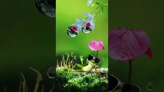 Green 💚 Nature 🌿 with Beautiful 🥰 Music 🎶 #nature #green #music #beautiful #shorts #softpeace