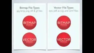 File Types in Bitmap & Vector Graphics