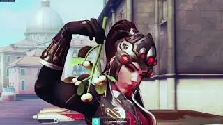 Guess My SR Widow Montage