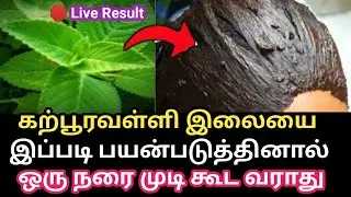 💕கற்பூரவள்ளி ஒரு தடவை இப்படி பயன் படுத்தி பாருங்க நரை முடி வராது