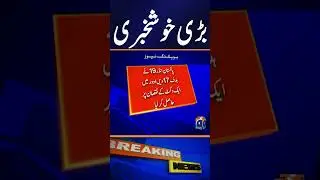 Pakistan Defeats Zimbabwe by 9 Wickets to Win U-19 Tri-Nation Series