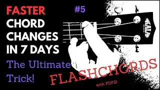 Faster Chord Changes in 7 Days #5 FLASHCHORDS Develop MUSCLE MEMORY learn how to SWITCH CHORDS FAST!