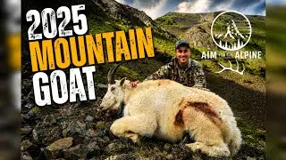 Mountain goat hunt 