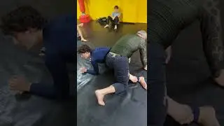 Тренировки по джиу-джитсу в Тиране, Албания. Атмосфера 🇦🇱 #albania #tirana #brazilianjujitsu #bjj
