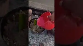 mini vlog valo lagcha like comment subscribe kora daio tata