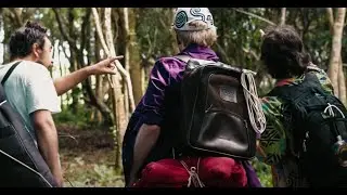 Grillo e os Mosquitos - Traz o Repelente [Clipe Oficial]