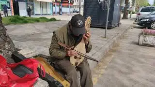 Кацнал бръмбар на трънка