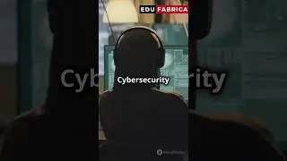 Top 5 Tech Careers in 2024!