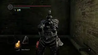 Dark Souls - FULL GAME All Bosses Havel Cosplay Run NG+ - No Commentary