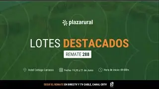 Plaza Rural - Lotes destacados - Remate 288