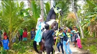 ARAK-ARAKAN BONJOK LOR ‼️10 JANUARI 2026