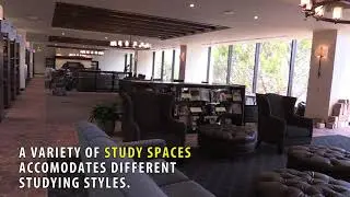 A First Look Into Payson Library