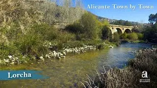 LORCHA. Alicante, Town by Town.