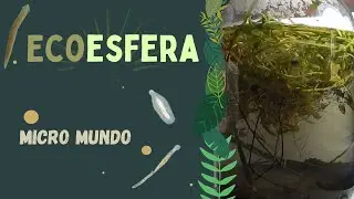 Você não fazia ideia que poderia haver tanta coisa em um pote de vidro - Ecoesfera - episódio 1.