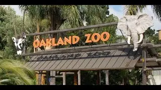 Ms. Chinn - Oakland Zoo Interviews -  Fall 2025/2026