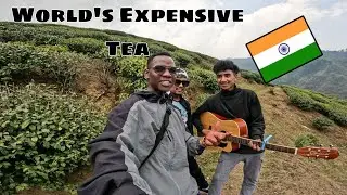 First AFRICAN In WORLD's Famous Darjeeling Tea Plantation, INDIA 🇮🇳 @darshanvlogs6402