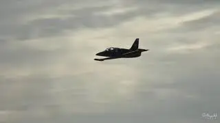 2019 Culpeper Air Fest: Colonel Jenna Dolan L-39C Albatross