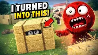 ROBLOX HIDE & SEEK | The best hiding place found!