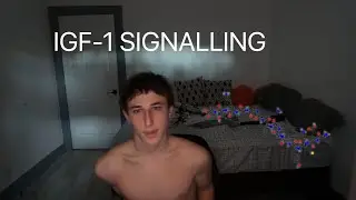 Full IGF-1 Signalling Guide