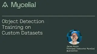 Computer Vision Object Detection Training (YOLOv8)