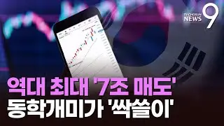 증시 출렁하자 개미들 7조 순매수 '사상 최대치'…동학개미의 귀환? [뉴스9]