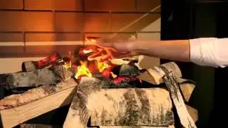 Каминные топки RUEGG