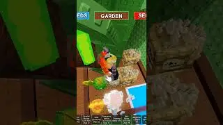 op egg opening