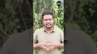 Naxalism in Telangana #naxalites #telangana #operationkagar #theerpu