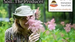 International Year of Soils October: Soil - The Producer!