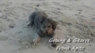 Der Hund (Cover von Adamo) -  Frank Apitz