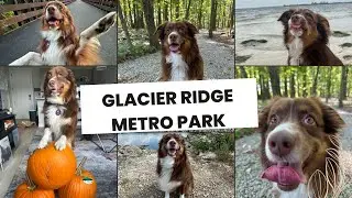 Glacier Ridge Metro Park | Hiking Trails & Outdoor Adventure in Columbus Ohio