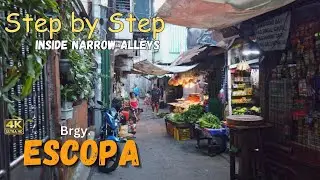 A Local's Guide 