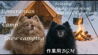 【CHILL CAMP BGM 126】癒しBGM - 作業用BGM - 勉強用BGM - しっとりBGM - 可愛い - ポメラニアン - 雪中キャンプ