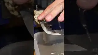 青龙偃月刀vs蜜桃 #老利 #解压 #抖音 #挑战不可能 #磨刀 #锋利度测试 #三国志 #桃子 #锋利