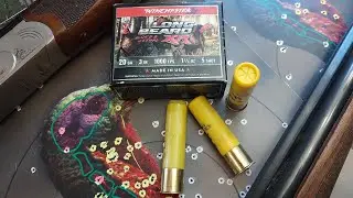 Winchester Long Beard XR Turkey Loads, 20 gauge in 3