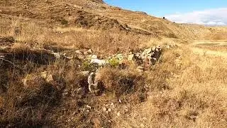 Quail Hunting 2022