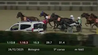 2025 12 28 | Corsa 5 | Metri 1660 | Premio Alan Ford