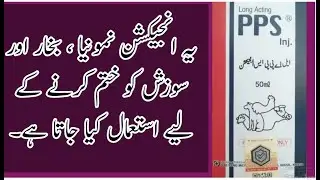 PPS LA Injection | Uses in Urdu | Animal Treatment Medicine | Long Acting Inj Veterinary Updates