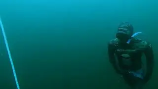 Freedive Alaska