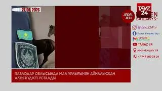 JEDEL JELI 27.01.2026