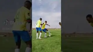 Themba Zwane dribbling lesson #dstvpremiership #sundowns