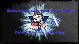 Kassel Huskies Blau und Weiß ein Leben lang
