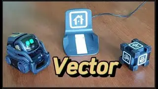 Vector Robot importance, review and Is the vector robot worth it?