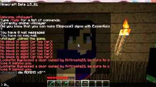 Minecraft Server Preview #002