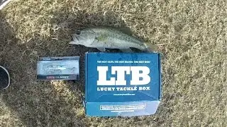 LTB Slam- January 2017
