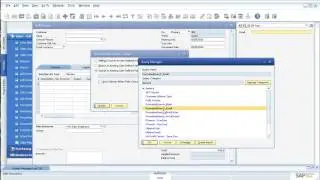 SAP Business One Formatted Search